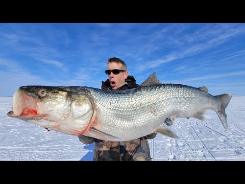 Arctic Circle Adventure: Ice Fishing and Tarmigan Hunting in an