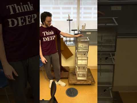 Reversible Heron's Fountain (Jonathan's #DEEP Group with Trever Markel) #science