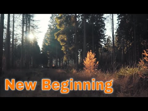Sk Hall & Ludwiig - New Beginning [Music video]