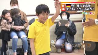 サンプル動画