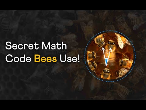 The math behind the honey bee waggle dance