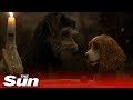 Lady And The Tramp 2019 Official Trailer