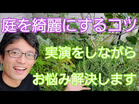 手入れが簡単な庭のための 2 つのアイデア トピックス