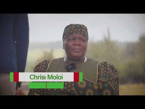 Harvesting Dreams The Inspiring Journey of Christinah Moloi and Lehlohonolo with Kynoch Fertilizer