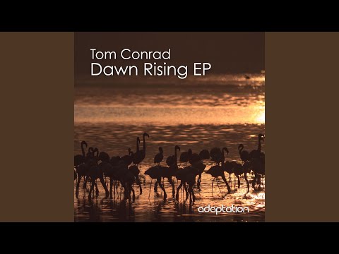 Chasing the Light (Original Mix)