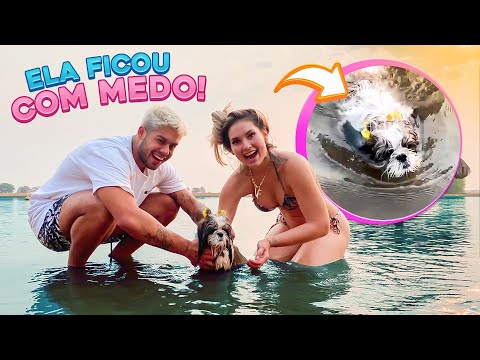 WE PUT OUR DOG IN THE LAGOON!!