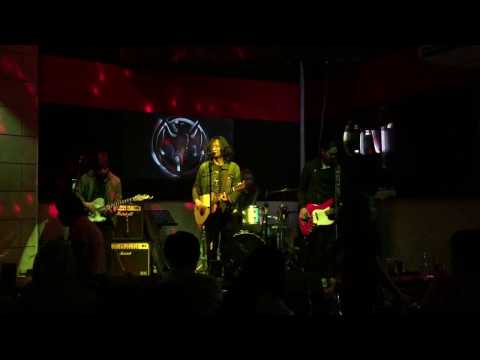 Boys In The Backroom - The Camerawalls (Live at Craft)