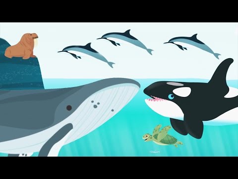 Kids Learn About Ocean Animals Name And Sound -Play Fun Games For Toddlers and Prechool