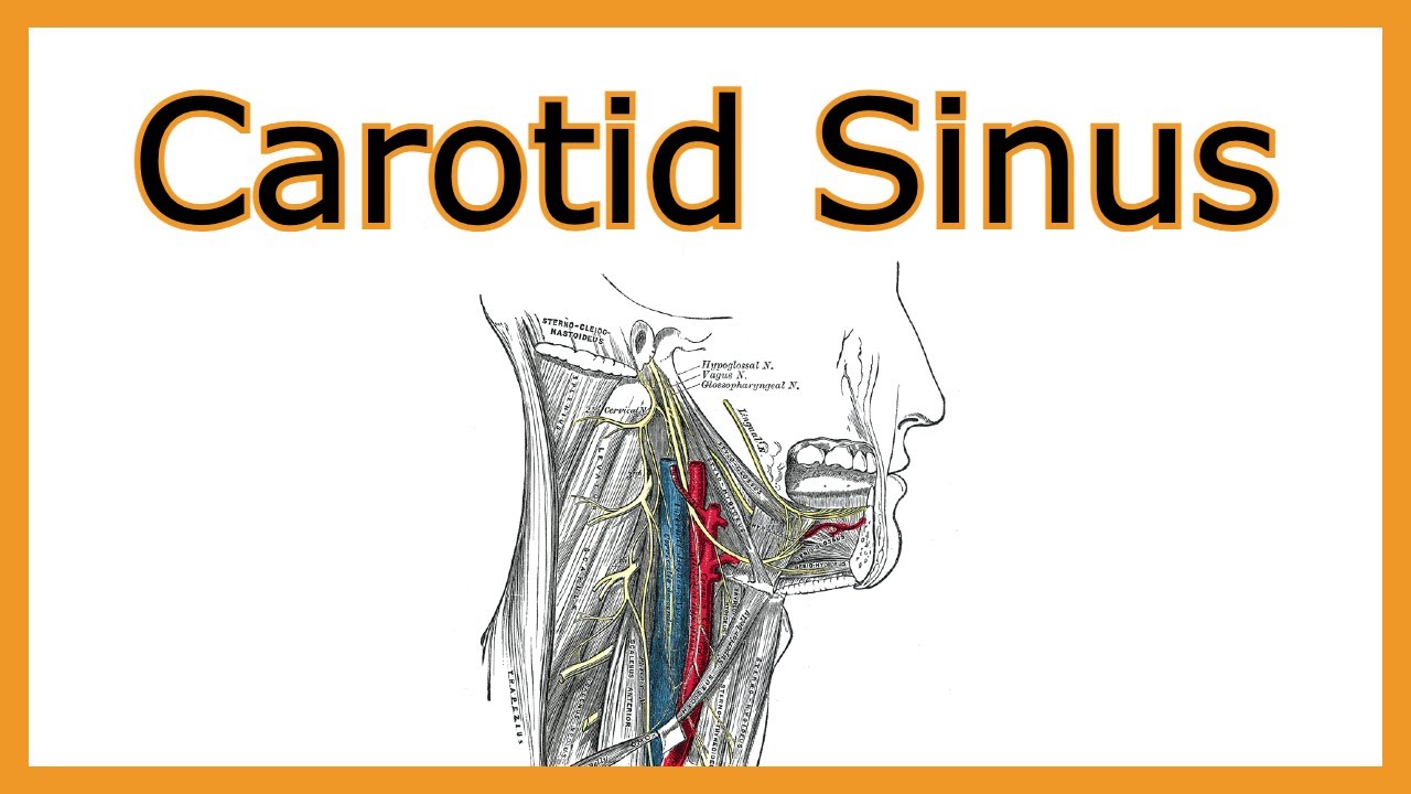 Carotid Sinus Hypersensitivity
