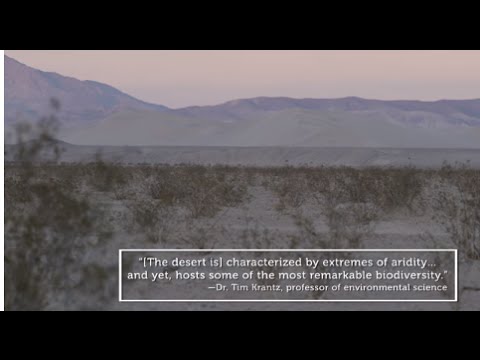 Why California Desert's Sand to Snow Area Needs Lasting Protection