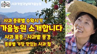 사과 전문 농장 가을농원을 소개 합니다.
