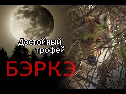 Охота на волка в Якутии. Достойный трофей.//Wolf hunting in Yakutia. A worthy trophy.