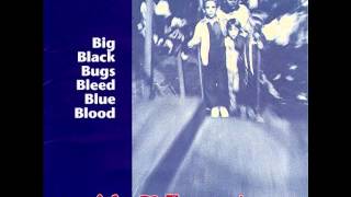 Mr. T Experience - At Gilman Street