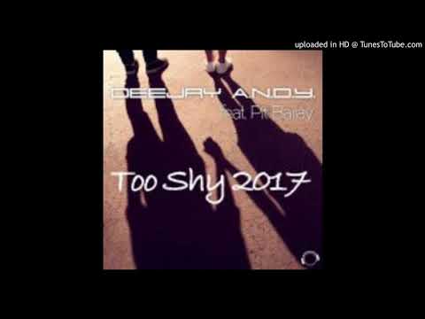 DeeJay A.N.D.Y. ft. Pit Bailey - Too Shy 2017 (Radio Edit)