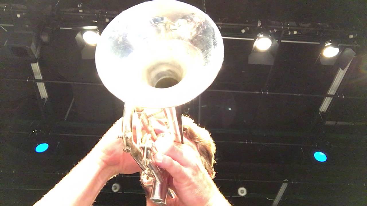 Promotional video thumbnail 3 for Billy Edwall Trumpet