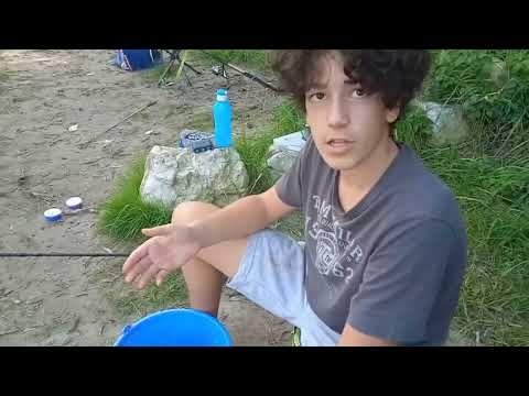 Pecanje na rijeci dravi metodom feeder.