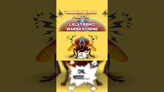 Download lagu KENAPA LALAT Gak Suka Warna Kuning? Ini Jawabannya! 🪰💛 #shorts mp3
