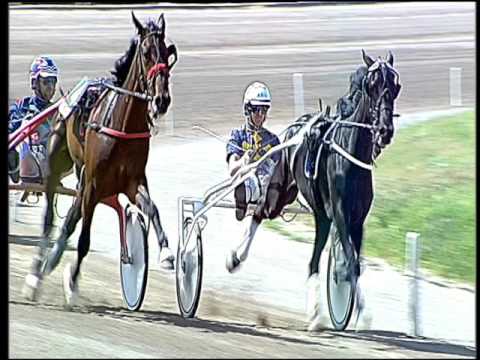 Trotto 17/04/2016 - 1° Corsa