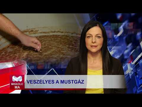 Videó előnézet
