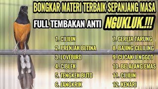 Download lagu MASTERAN MURAI BATU GACOR ISIAN CILILIN KENARI LOVEBIRD KAPAS TEMBAK 100% AMPUH AUTO BONGKAR ISIAN mp3 Download lagu MASTERAN MURAI BATU GACOR ISIAN CILILIN KENARI LOVEBIRD KAPAS TEMBAK 100% AMPUH AUTO BONGKAR ISIAN mp3