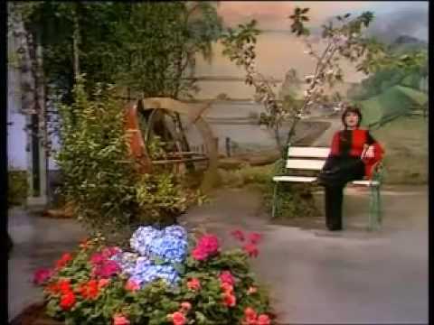 Medley beliebter Schlager der 70er Jahre (3)
