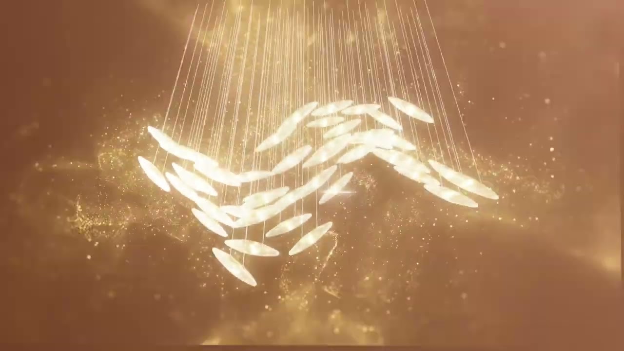 Vídeo Apresentação