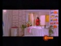 Meena Swimsuit Chelluva