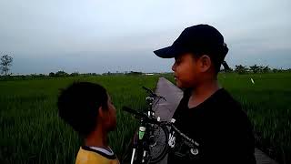 Download lagu Story wa jawa lucu kekinian mp3