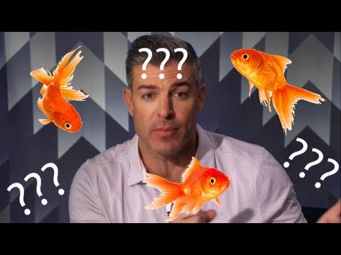 Jeff Schroeder has the Memory of a Goldfish