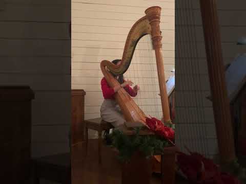 Promotional video thumbnail 1 for Rose Harp Studio