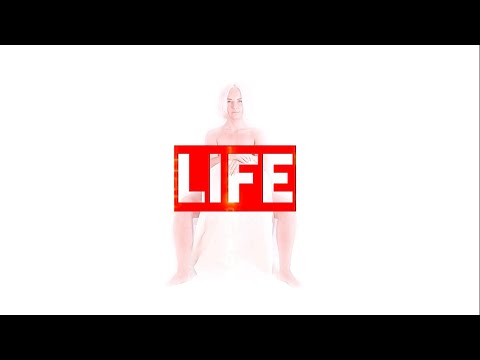 KATYA OCEAN - LIFE