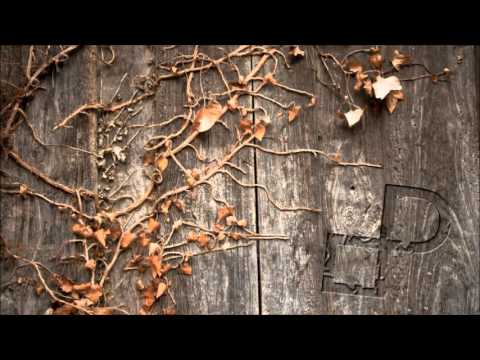 Black Eyes Peas - Boom Boom Pow ( Phaanxshoo ヅ & HojaVerde Remix)