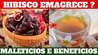 NÃO USE HIBISCO SEM ANTES VER ISSO⚠️ Cha de Hibisco Pra Que Serve ? Como Fazer Chá de Hibisco ? 2019