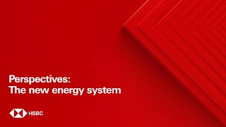 Perspectives: The new energy system