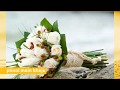 Phool Main Bheju Whatsapp Status Dil Ye Karta H Best Melody Song 90s