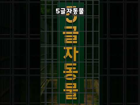 5글자 동물