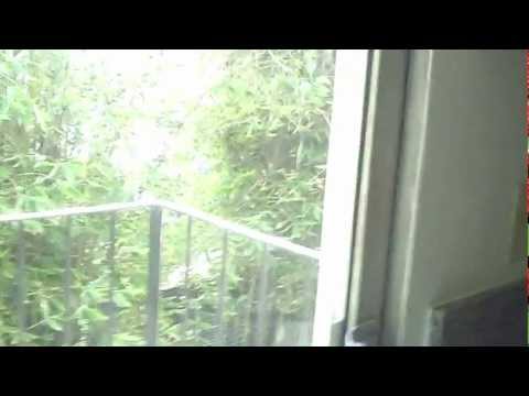 Lower 1 Bed Apartment For Rent In Santa Monica - 4th St & Raymond Ave - 562Rent.com