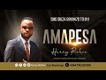 Harry Richie Amapesa Official Audio