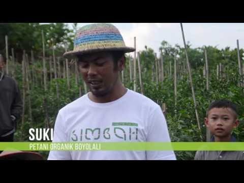Simbah - Aplikasi Pertanian