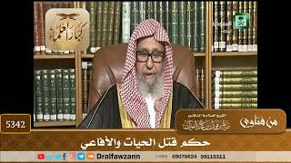 [5342] حكم قتل الحيات والأفاعي - صالح الفوزان