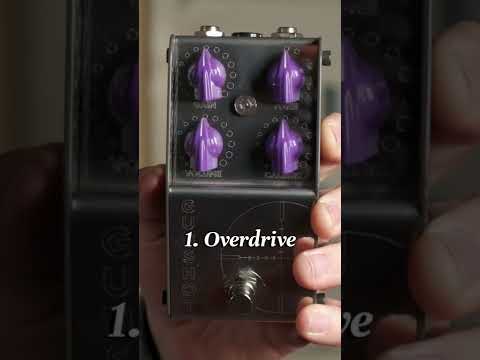 ⚠️ Everyone Needs These Guitar Pedals!