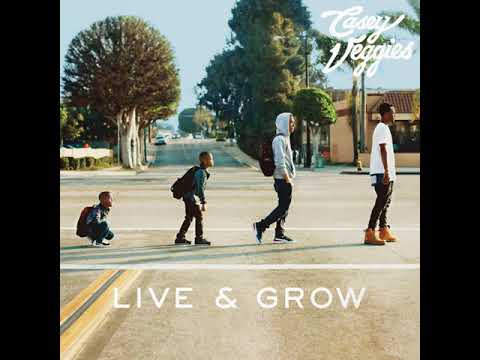 Casey Veggies, Dej Loaf - Tied Up  432 Hz