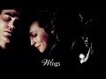 Damon & Elena | Stefan and Caroline - Wings 