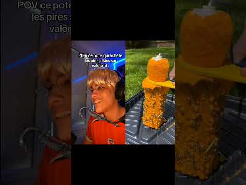 #pov : ce pote qui achète les pires skins crédit : @rayakuzaa #rayakuzaa #humour #viral #asmr