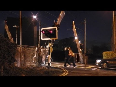 Level Crossing at Serpentine Avenue at night