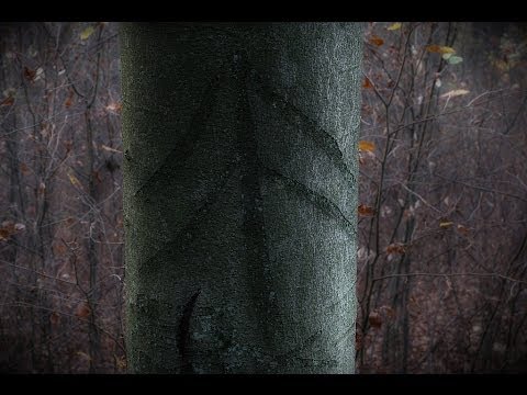 Lost Places XYZ Part 69 - Tief im Wald 3