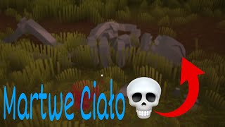 TEGO SIĘ NIE SPOWDZIEWAŁEM PO TEJ GRZE... (Disturbing Forest: Demon's path)