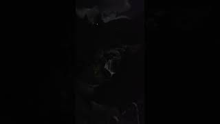 Chuva de raios em uma ponte suspensa #viral #viagens