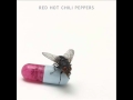 Red Hot Chili Peppers - Annie Wants a Baby
