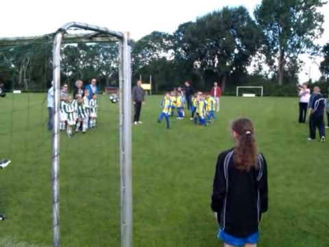 Blauw Geel F1 - Velocitas F1